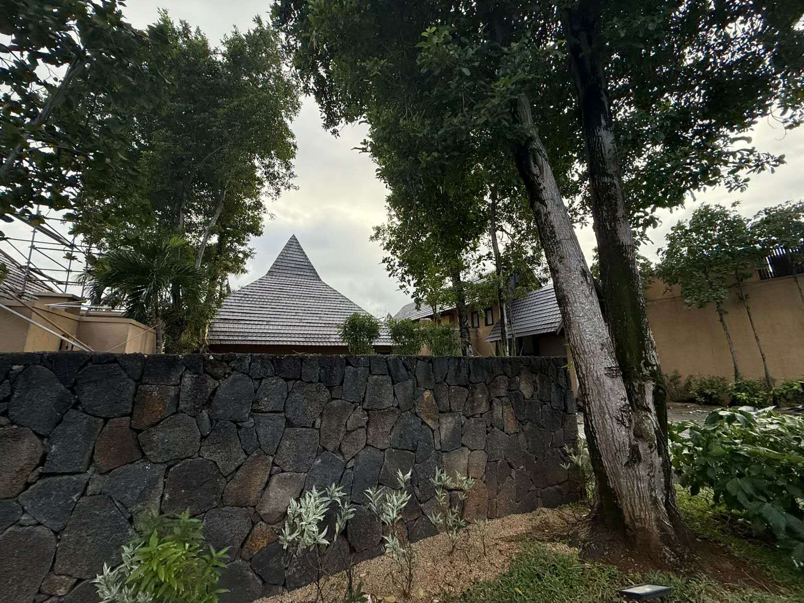 43631751349973_.pic.jpg